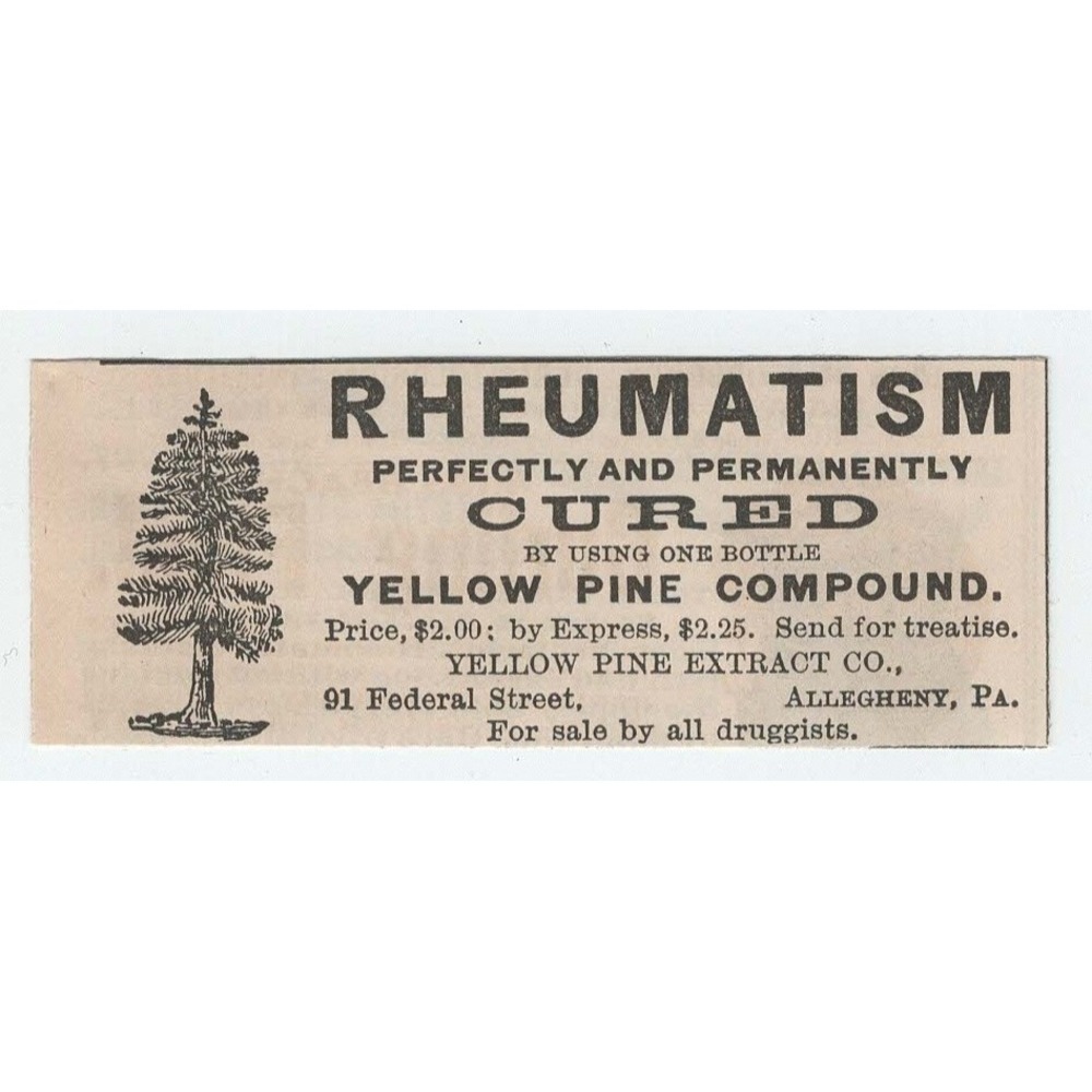 1891 Yellow Pine Compound Rheumatism Cure Print Ad Allegheny PA Pine Tree Art - Picture 1 of 1